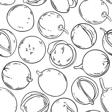 Mongongo vector pattern on white background Stock Illustration