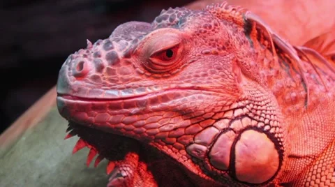 Monitor Stock Footage 8539859