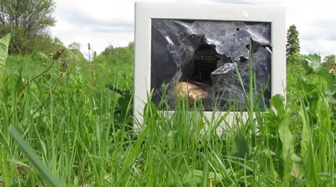 Monitor Video stock 24130140