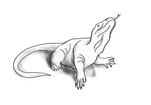 Monitor lizard Stock Illustration