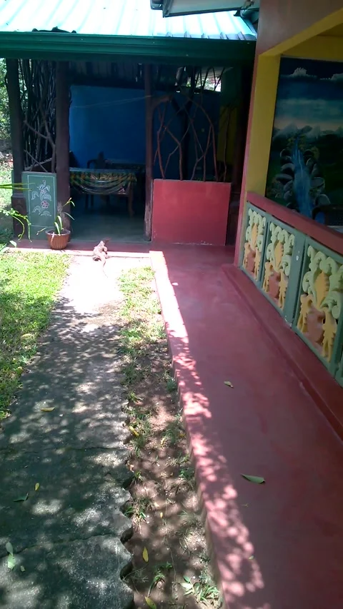 Monitor lizard in the kitchen entry in sri lanka Vídeos de archivo 235728001