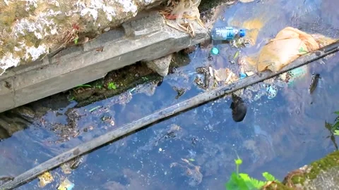 Monitor lizard swimming in polluted river with floating trash Thailand envi.. Stock Footage 334093720