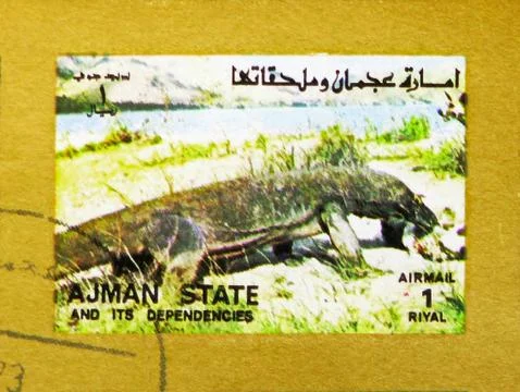 Monitor Lizard (Varanus spp.), Animals, big format serie, circa 1973 Stock Photos