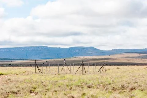 Monitoring plot in the Mountain Zebra National Park 스톡 사진