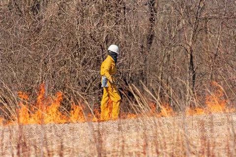 Monitoring the Start of a Controlled Burn Stockfoto's