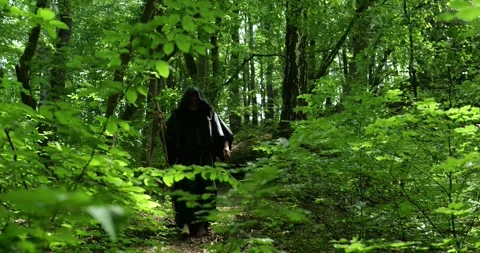Monk in a dark cloak walks through a dense forest with a wooden staff among gree Stock Footage 336694400