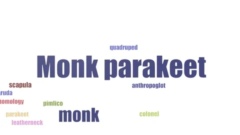 Monk Parakeet Tag Cloud Animated Isolated On White Stock Footage 103094476