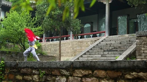 Monk performing Kung fu with Hook swords Stock Footage 88677561