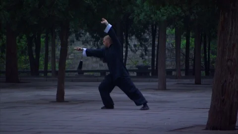Monk performing Kung Fu with sword Stock Footage 89762063