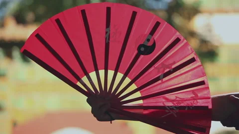 A monk practicing martial arts in a temple, Beijing, China Stock Footage 143059416