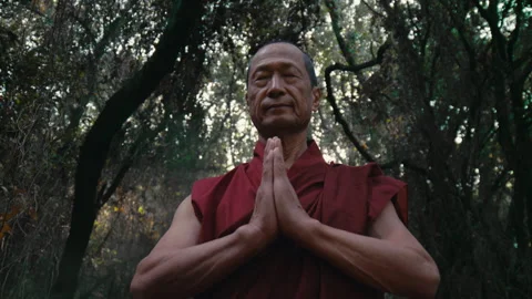 Monk praying in the Forest alone Stock Footage 275153777