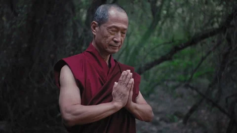 Monk Praying in the Forest Stock Footage 275501703