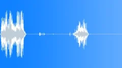Monk Seal CU CallsSound Effect