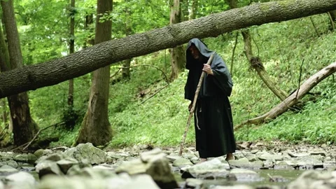 Monk with a staff walks along a forest stream near a fallen tree during a journe Stock Footage 336695654