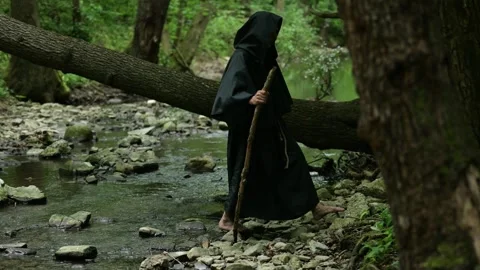 Monk with a staff walks along a stream beneath a fallen tree among dense forest  Video stock 336695789