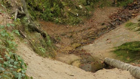 Monk is Walking Down to Shallow Gully Clergy Outdoors Mossy Ground of Stock Footage 71632717