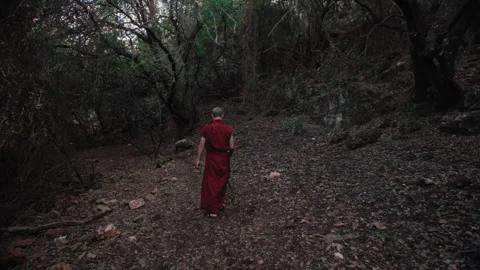 Monk walking in the Forest Stock Footage 275501521