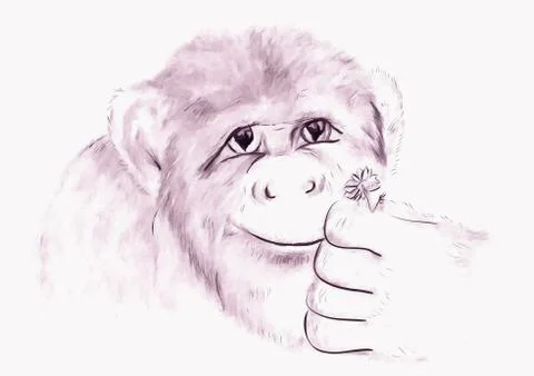 Monkey with abstract flowers Stock Illustration