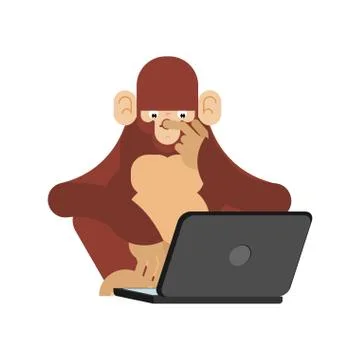 Monkey and computer. Chimpanzee looks at laptop Stock Illustration