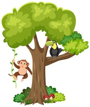 Monkey and toucan bird on a tree Stock Illustration