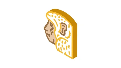 Monkey animal isometric icon animation Stock Footage 327287010