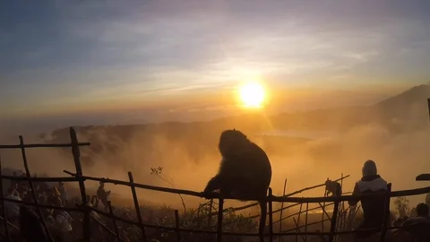 Monkey on background of a volcano in the mountains Bali Indonesia Vidéo 108210277