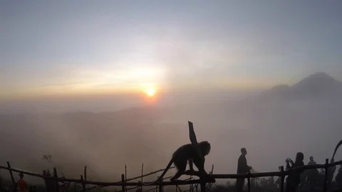 Monkey on background of a volcano in the mountains Bali Indonesia Vidéo 108210307