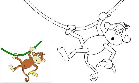 Monkey with a banana Stock Illustration