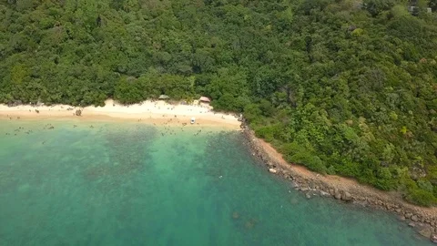 Monkey beach Video stock 97916055