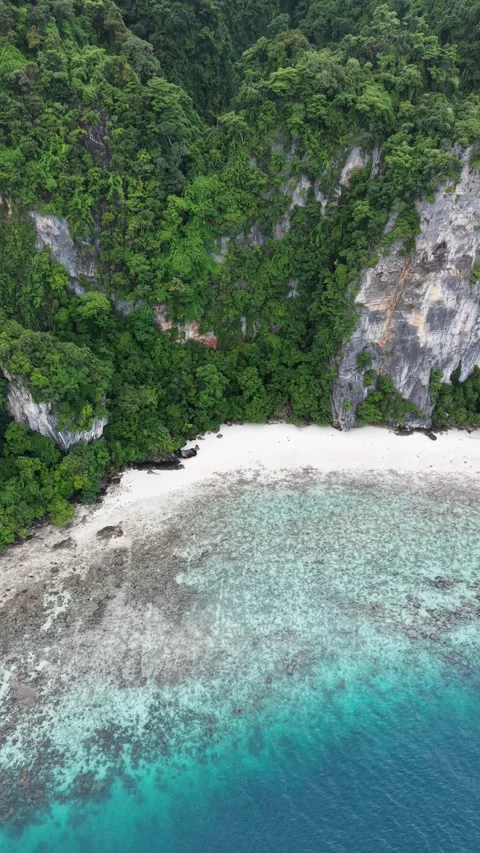 Monkey Beach Phi Phi Island Stock Footage 345011797