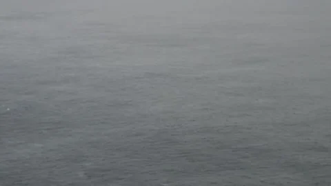 Monkey with Blue Sea in the Background Stock Footage 154400386