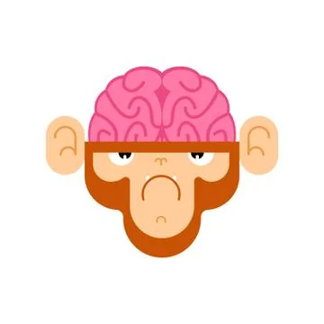 Monkey with brain. Gorilla with brains. Vector illustration Stockillustratie