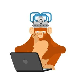 Monkey in brain stimulation helmet and computer. Chimpanzee looks at laptop.  Stock Illustration