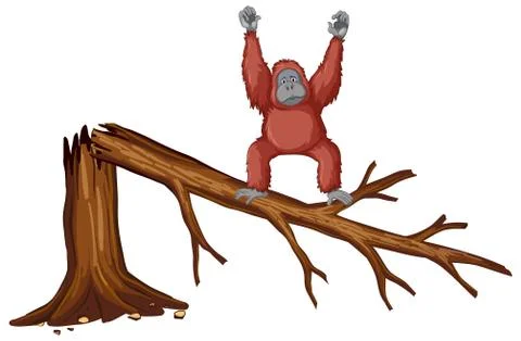 Monkey on broken branch Stock Illustration
