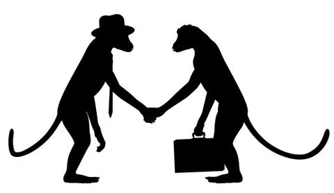 Monkey business Stock Illustration
