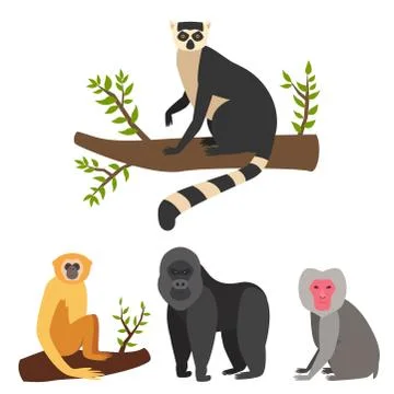 Monkey character animal different breads wild zoo ape chimpanzee vector Stockillustratie