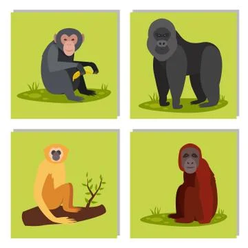 Monkey character animal different breads wild zoo ape chimpanzee vector Stockillustratie