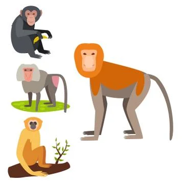 Monkey character animal different breads wild zoo ape chimpanzee vector Stockillustratie
