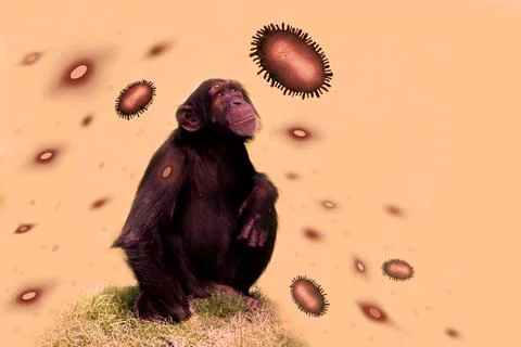 Monkey Chimpanzee surrounded by virus particles monkeypox orthopoxvirus Mpox. Stock Photos