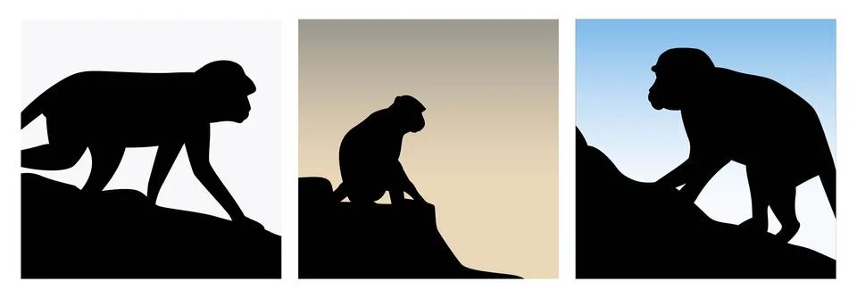 Monkey on a cliff mountain silhouette in different positions vector illustration Stock-Illustration