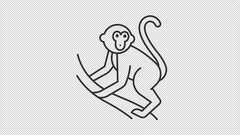 Monkey climbing a branch line animation Stock Footage 342242295