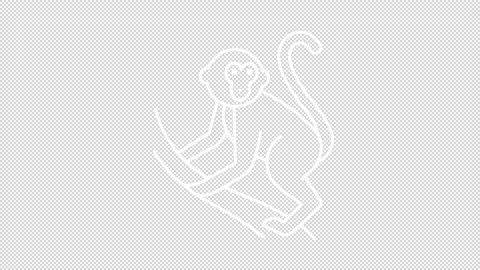 Monkey climbing a branch white line animation Vídeo Stock 345256504