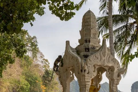 Monkey climbing ornate temple structure surrounded by tropical trees Stock Photos