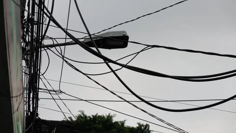 Monkey climbing on tangled electric wires in asian city Stock Footage 330767622