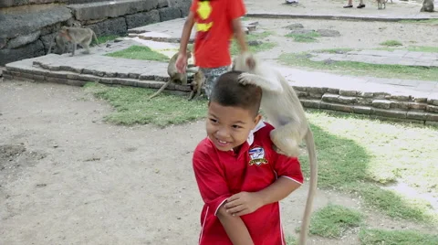 Monkey Climbs on Boy's Head Video stock 65968249