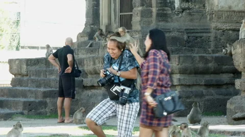 Monkey Climbs on Tourist Stockbeeldmateriaal 65968511