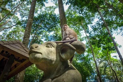 Monkey on a cow statue in the Monkey Forest, Ubud, Bali, Indonesia Stock Photos