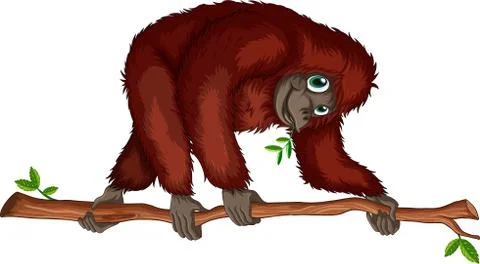 The monkey crawls along the branch Stock Illustration