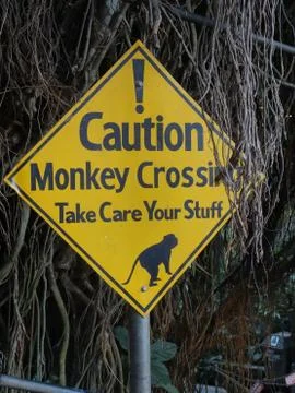 Monkey crossing sign Stock Photos