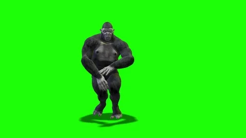 Monkey dances hip hop Video stock 84830327